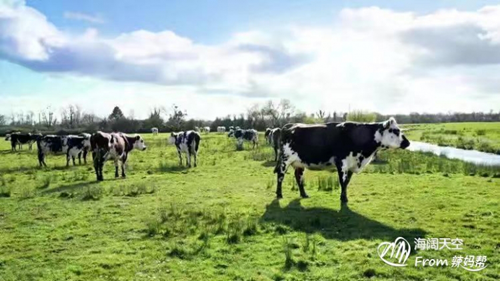 高培360（高培臻愛）奶粉免費試用 毫不猶豫給寶寶選擇的口糧1.png