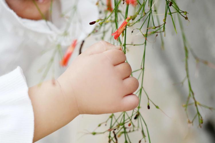 中國五分之一兒童體重超標(biāo) 美媒：垃圾食品吃多了
