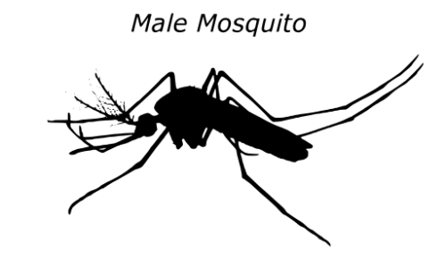 驅(qū)蚊產(chǎn)品也拼顏值？金鳥驅(qū)蚊手環(huán)系列讓你成為最靚的仔！