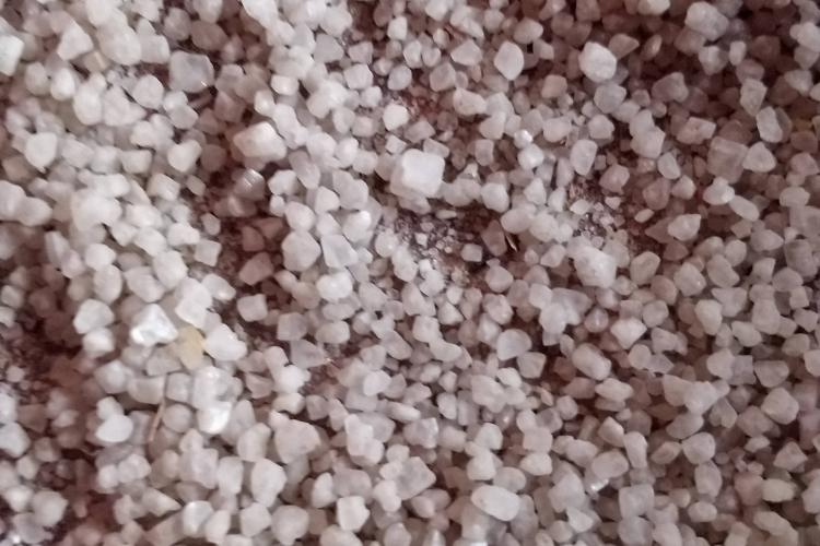 有甲狀腺疾病的孕媽媽該如何補(bǔ)碘？