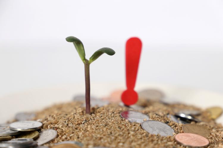 從在線營(yíng)銷場(chǎng)景切入，螳螂科技獲數(shù)千萬(wàn)元Pre-A輪融資