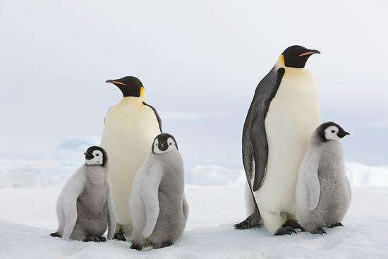 警惕！研究稱全球變暖將嚴重影響兒童健康