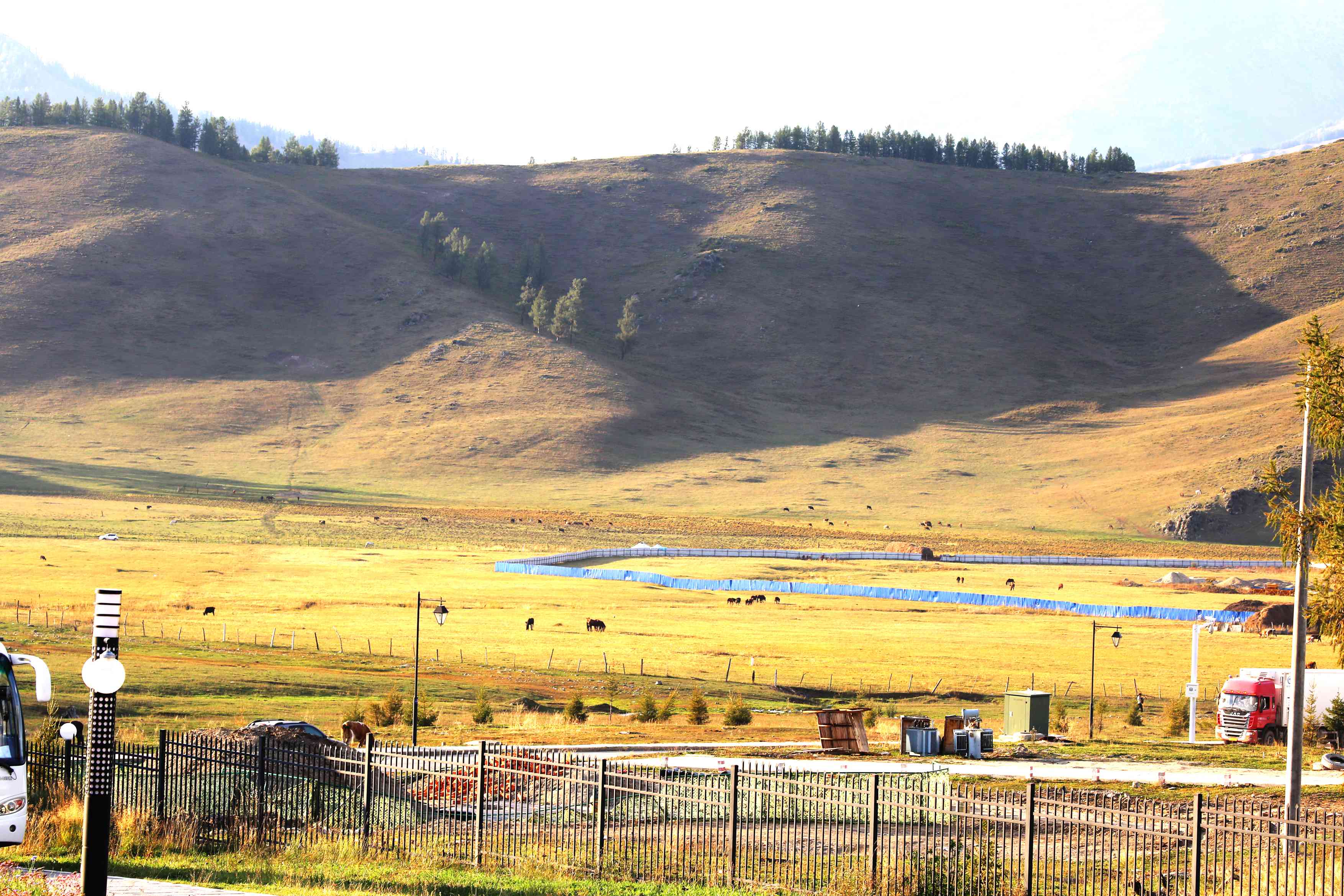 早餐習(xí)慣改變 竟讓美國(guó)最大牛奶公司面臨破產(chǎn)！