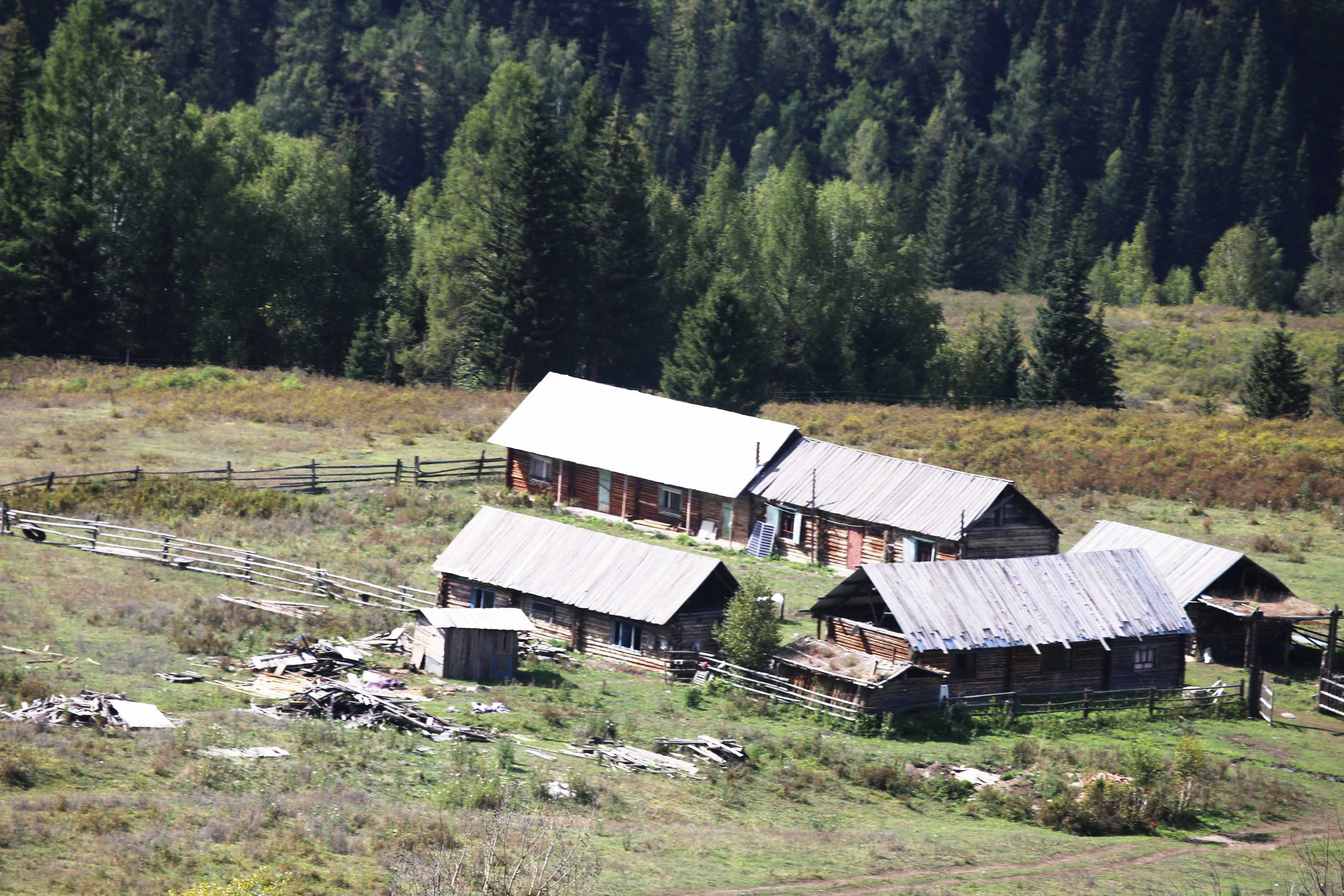 懷孕不必宅在家！法媒支招：準媽媽也能安心旅行