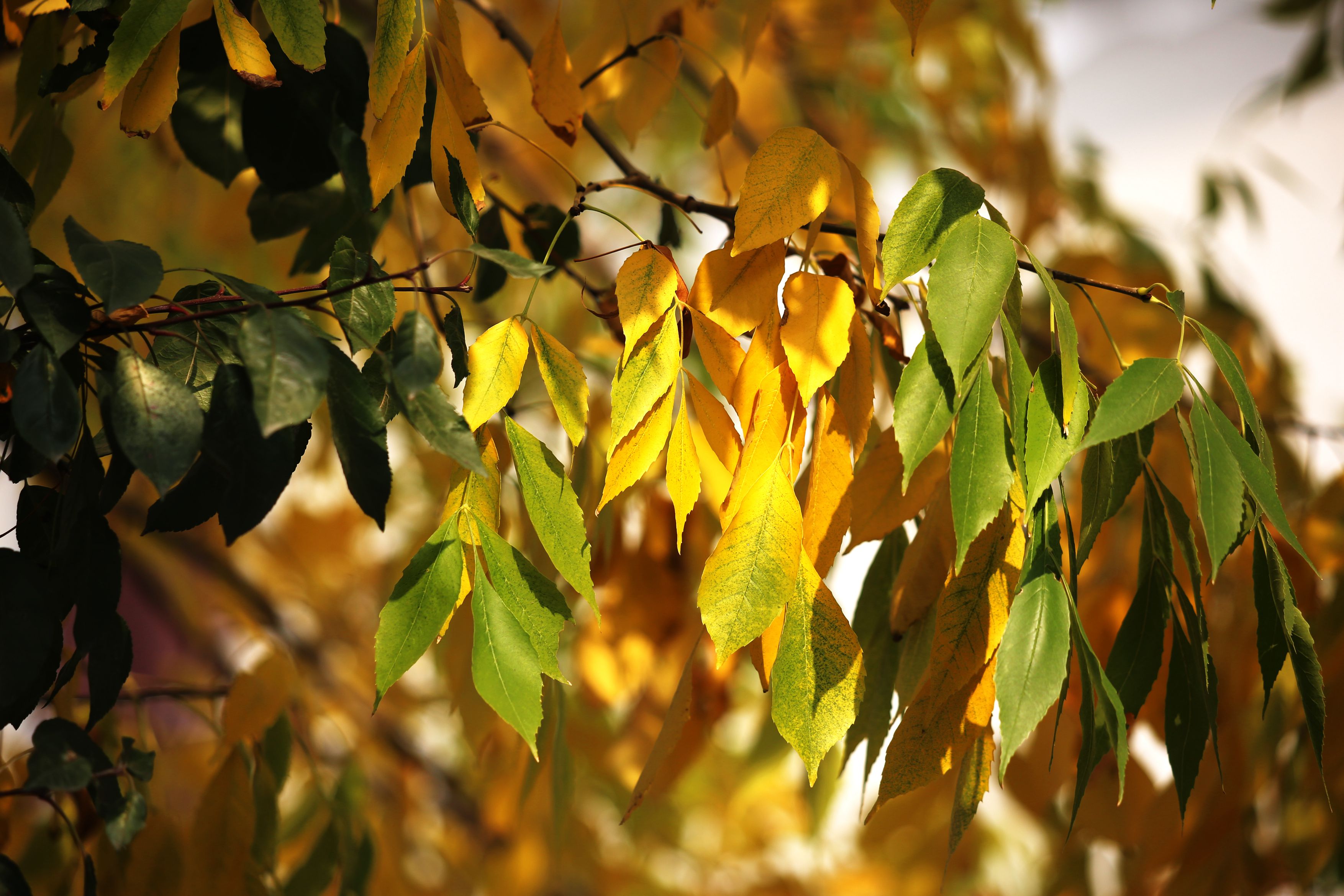 為什么家長發(fā)現(xiàn)不了安全隱患？多站在兒童的高度和角度來想