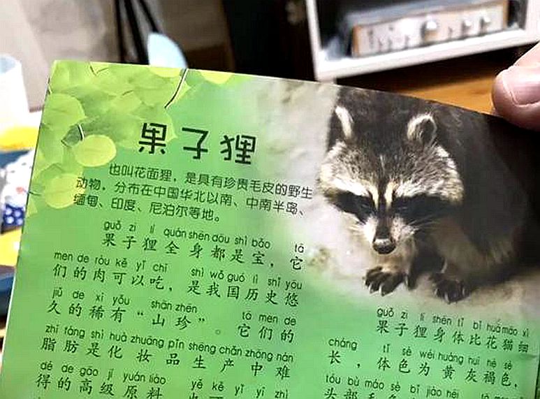 兒童讀物出現(xiàn)果子貍不當表述 請對兒童認知認真負責(zé)