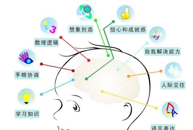 哈佛大學(xué):兒童大腦發(fā)育的高峰期只有三次，家長(zhǎng)抓對(duì)一次就夠了