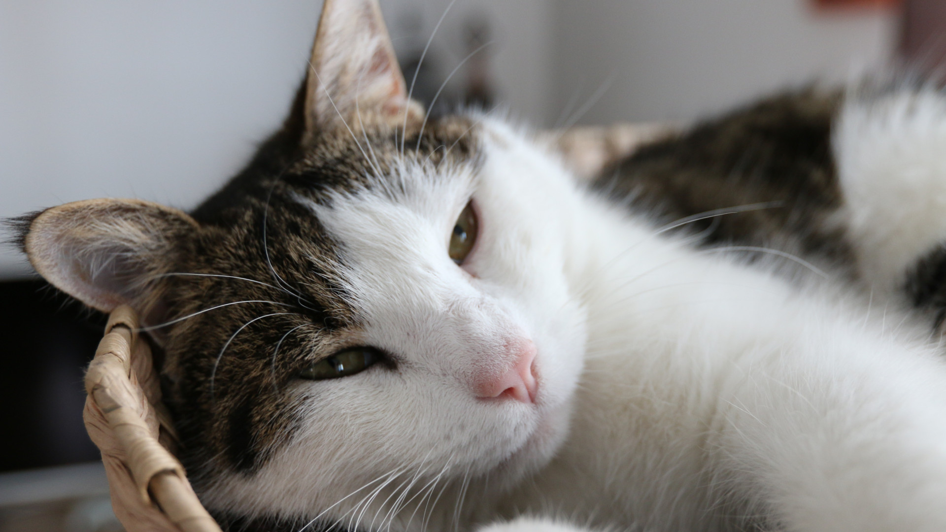 寶爸的育兒假離我們還有多遠(yuǎn)？