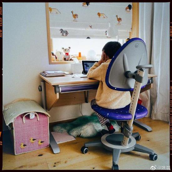 姚晨曬兒子土豆上網(wǎng)課日常 端坐桌前聽講乖巧可愛