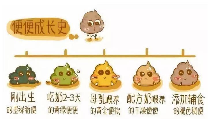 新生兒護(hù)理——胎便很重要