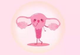 保護(hù)卵巢請(qǐng)做到這四件事 “拯救”卵巢刻不容緩