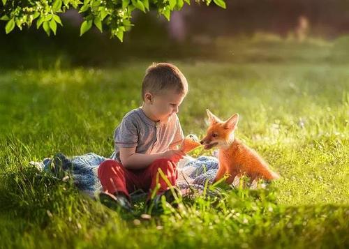 我們兒童要從小培養(yǎng)的6種黃金性格！