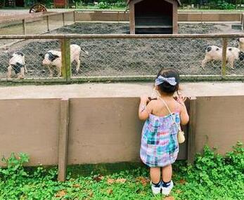 謝依霖帶娃去農(nóng)場(chǎng)踏青 女兒吃飼用胡蘿卜鬧笑話