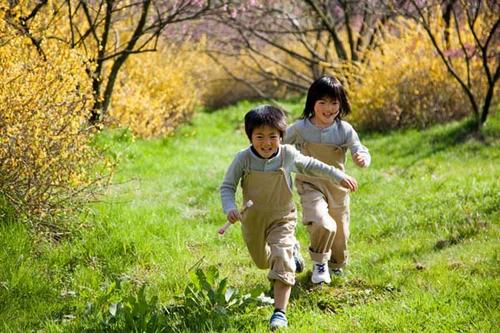 夏季植物美學(xué)體驗(yàn) 讀繪本帶孩子認(rèn)識(shí)神奇自然