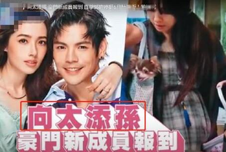 臺(tái)媒曝郭碧婷懷孕 6個(gè)月肚子隆起很明顯