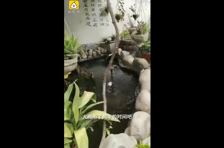 女兒為植物人父親打造花園 父親節(jié)許愿希望爸爸能叫自己乳名