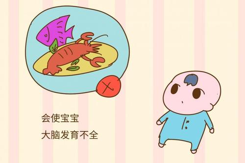 大腦發(fā)育的三個階段 如何補充營養(yǎng)更聰明