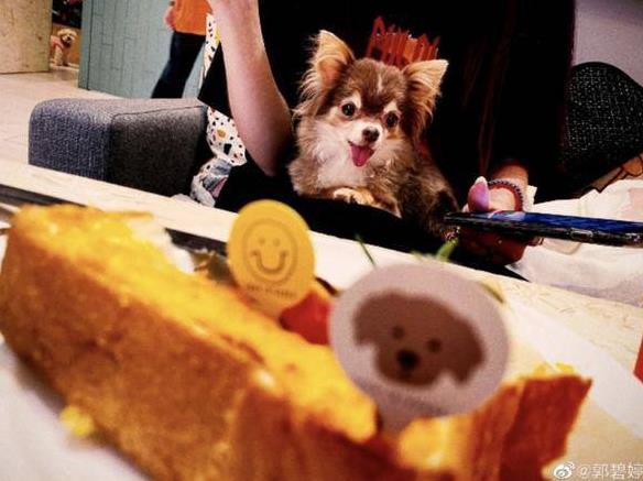 向太回應(yīng)郭碧婷深夜發(fā)文 這樣的婆媳關(guān)系網(wǎng)友覺(jué)得不自在