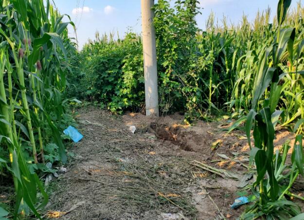 警方通報河北12歲女孩遭綁架殺害細節(jié) 繳獲涉案贓款100萬元