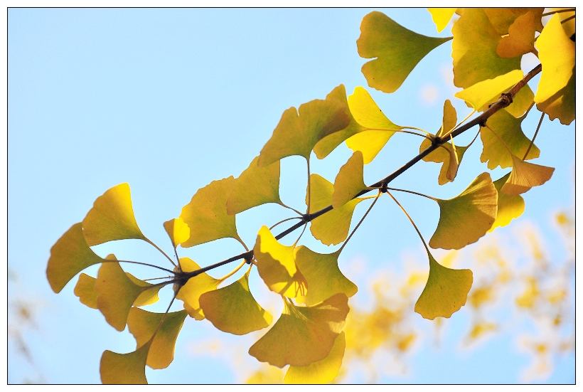 入秋謹(jǐn)記“4要2不要”，孩子健康生病少