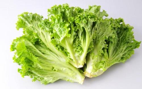 雞肉和生菜還有這么奇妙的搭配，你知道嗎？