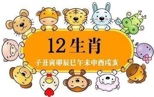 這些生肖的寶寶，生來(lái)就是報(bào)恩的！