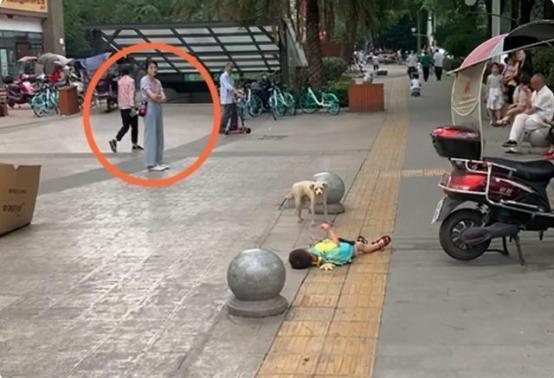 這對(duì)“倔強(qiáng)母子”火了，你家有同款嗎？