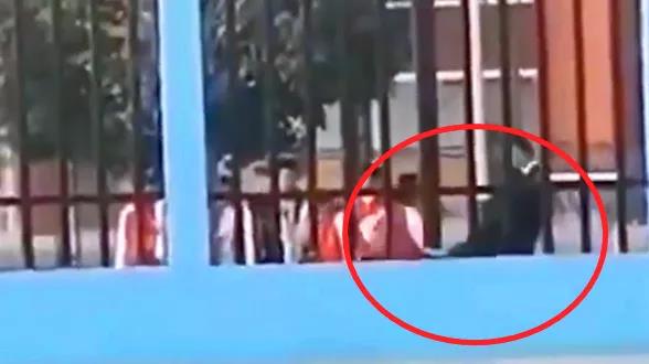 支教老師連踹小學(xué)生，你可知道何為為人師表？