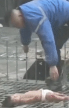 4月大女嬰疑遭生母從5樓扔下，父親的一番引來網友熱議