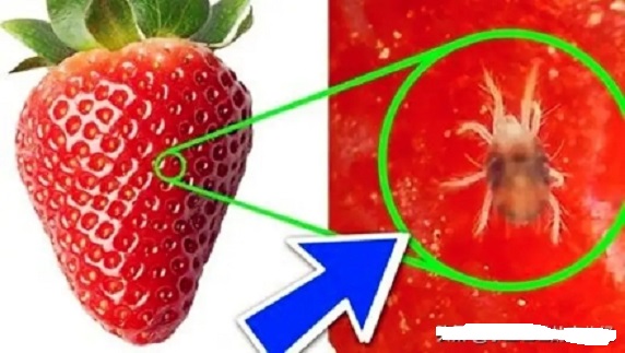 給孩子買水果的家長要注意了，這幾種水果不能買！