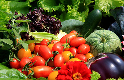 寶寶不愛吃蔬菜？四招幫你搞定