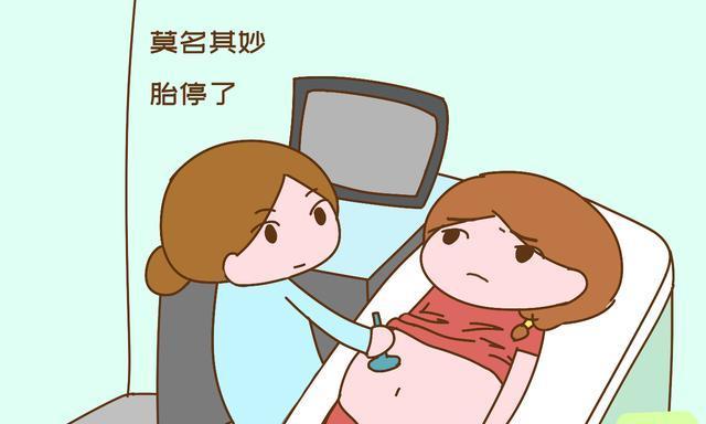 孕早期胎停育不是沒有任何征兆，提前發(fā)現(xiàn)，才能早應(yīng)對