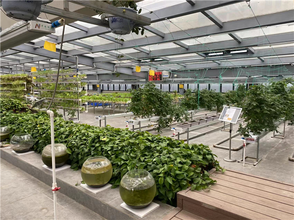 中小學(xué)生勞動(dòng)教育和職業(yè)啟蒙教育：從“看熱鬧”到“懂門道”