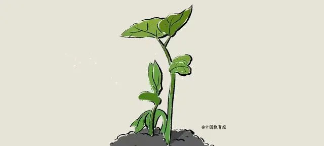 抓住關(guān)鍵期，做好高校畢業(yè)生就業(yè)工作