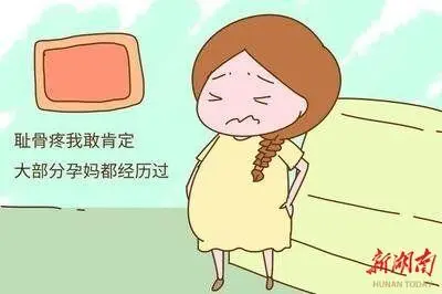 孕婦大腿根部痛？小心恥骨聯(lián)合分離！