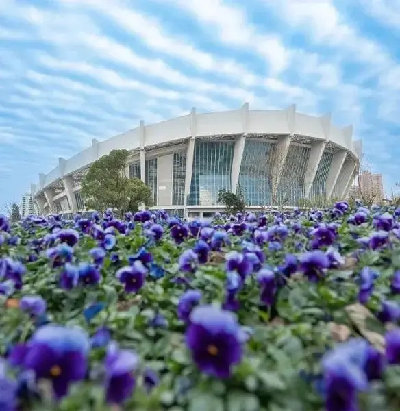 12個(gè)飲食和運(yùn)動(dòng)的建議，助你開啟更強(qiáng)大的兔年