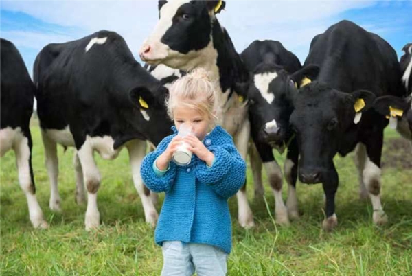 進(jìn)口奶粉哪個(gè)比較好？能立多重磅上新  助力寶寶更好消化吸收