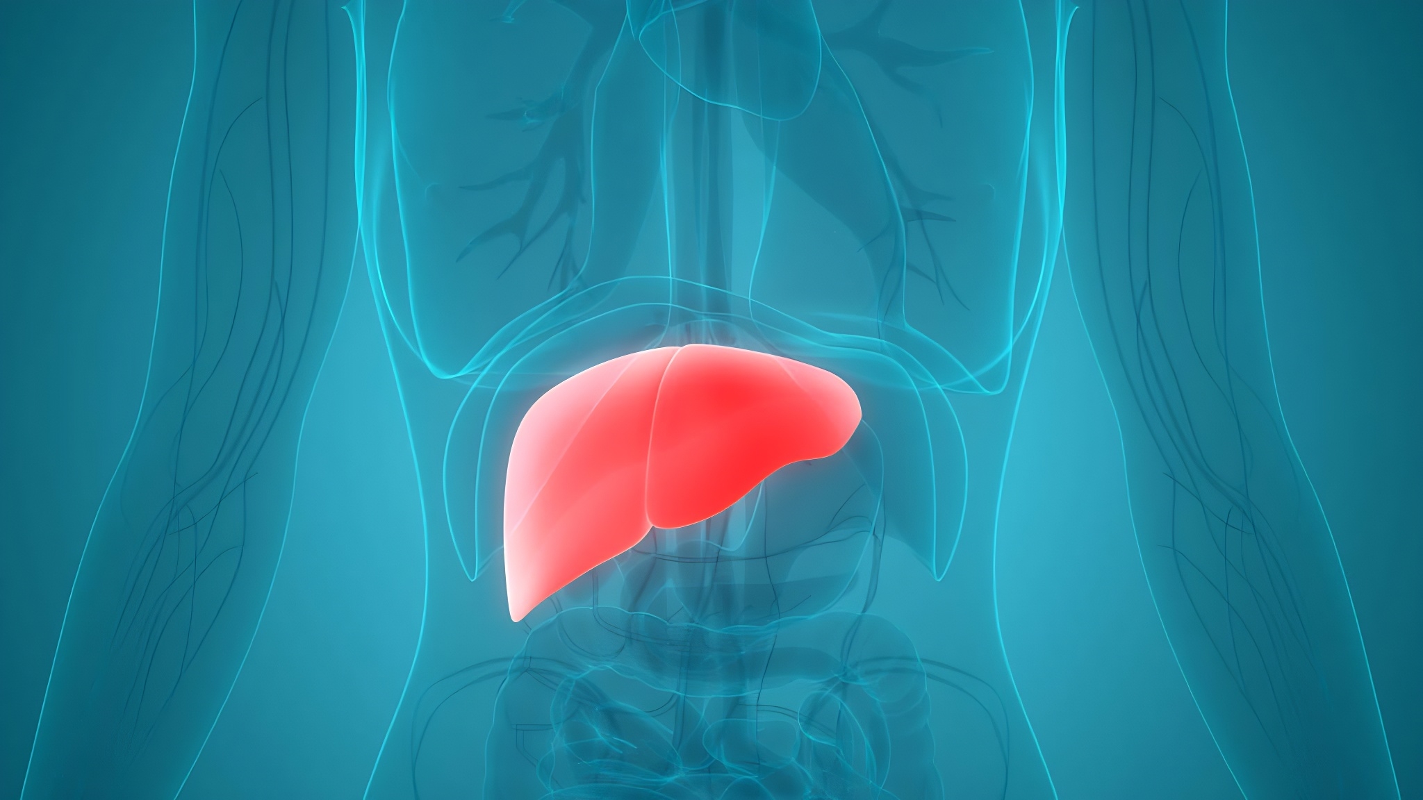 養(yǎng)肝就是在護(hù)心