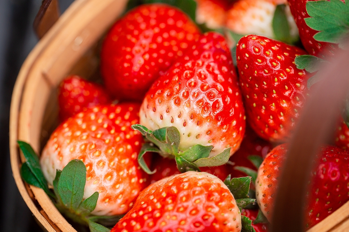 百果園攜手美好生活大使楊冪，關(guān)愛中國兒童少年基金會(huì)困境兒童