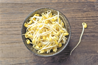 豆芽菜一點(diǎn)兒也不菜