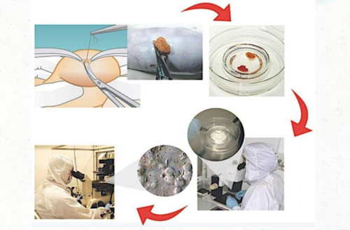 熱播臺(tái)劇《童話故事下集》揭露男性不孕，禾馨宜蘊(yùn)朱伯威院長(zhǎng)權(quán)威解答