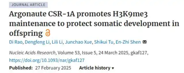 父親的生活習慣會影響下代健康嗎？西湖實驗室發(fā)現生命守護“密碼”