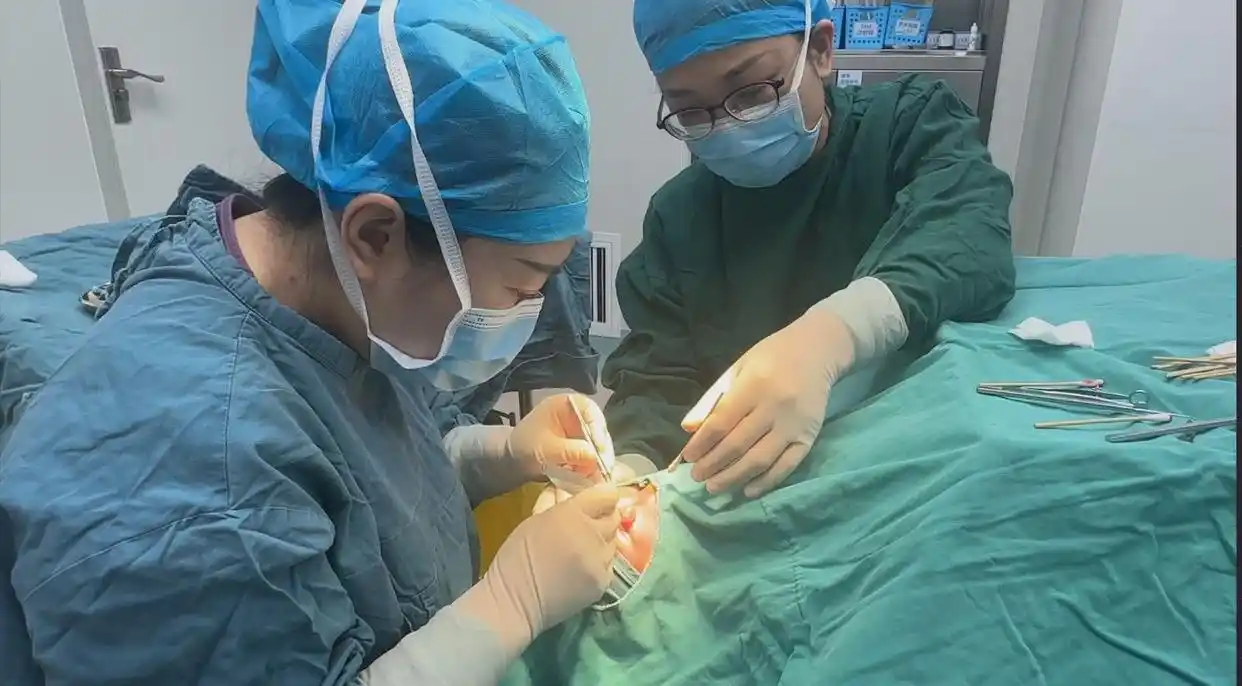 13歲少年雙眼竟成“螨蟲窩”！醫(yī)生提醒：這種生活習(xí)慣最招蟲