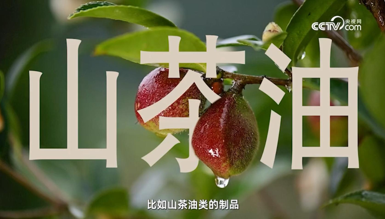 CCTV點贊，松達山茶油嬰童面霜連續(xù)5年全國銷量第一!